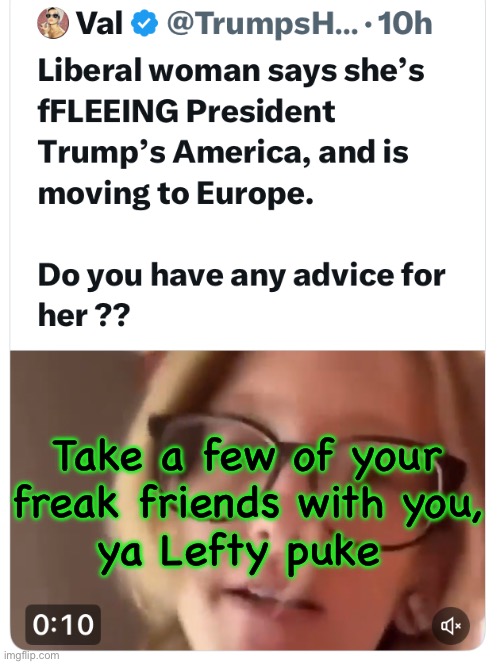 Why stay in America, when you hate America? | Take a few of your
freak friends with you,
ya Lefty puke | image tagged in memes,lefty just needs to destroy good things,lefty wants everyone to suffer leftys bad decisions,kissmyasslefty | made w/ Imgflip meme maker