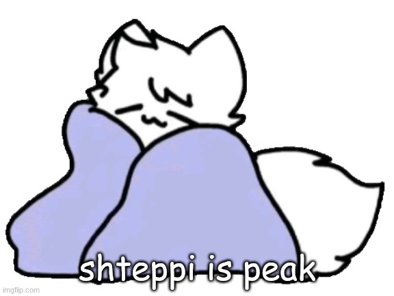 bk blanket | shteppi is peak | image tagged in bk blanket | made w/ Imgflip meme maker