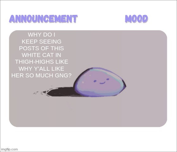 Petrock's temp | WHY DO I KEEP SEEING POSTS OF THIS WHITE CAT IN THIGH-HIGHS LIKE WHY Y'ALL LIKE HER SO MUCH GNG? | image tagged in petrock's temp | made w/ Imgflip meme maker