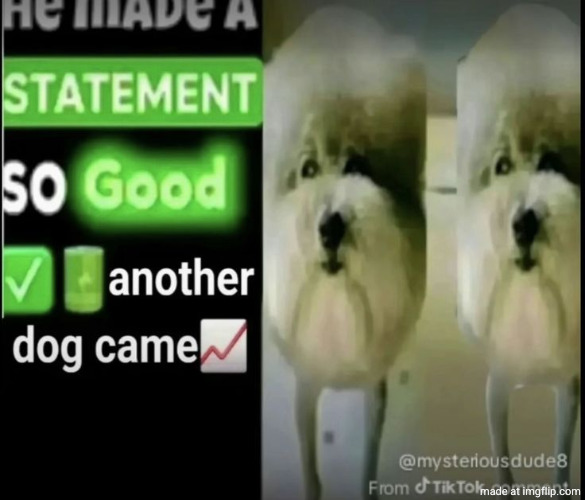 Statement | image tagged in statement | made w/ Imgflip meme maker