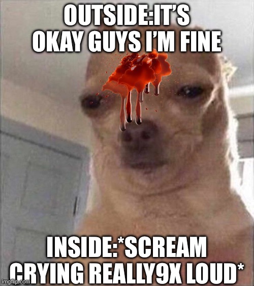 She ok*not* | OUTSIDE:IT’S OKAY GUYS I’M FINE; INSIDE:*SCREAM CRYING REALLY9X LOUD* | image tagged in chihuahua meme face | made w/ Imgflip meme maker