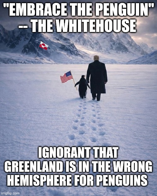 Embrace the ignorance | "EMBRACE THE PENGUIN" -- THE WHITEHOUSE; IGNORANT THAT GREENLAND IS IN THE WRONG HEMISPHERE FOR PENGUINS | image tagged in donald trump penguin greenland,donald trump,greenland,socially awkward penguin,this is beyond science | made w/ Imgflip meme maker