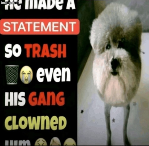 He Made a Statement so Trash | image tagged in he made a statement so trash | made w/ Imgflip meme maker