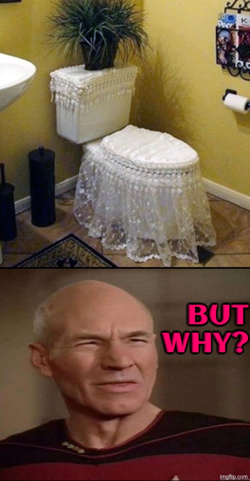 Why? | BUT WHY? | image tagged in excuse me wtf,dafuq picard,why,toilets,weird stuff,bathrooms | made w/ Imgflip meme maker