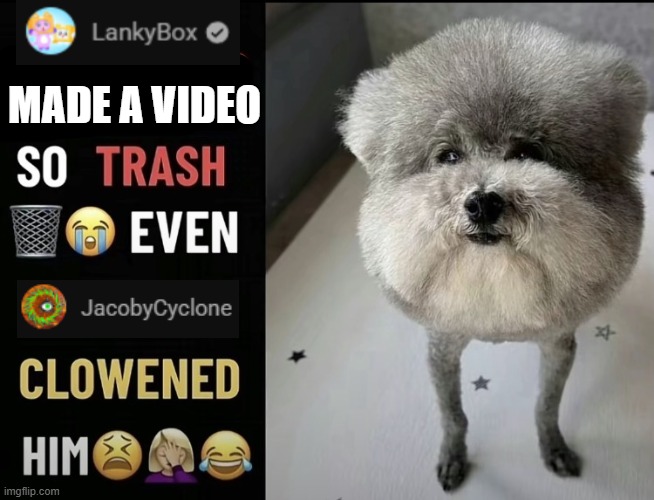 LankyBox Is Dogshit | MADE A VIDEO | image tagged in he made a statement so trash,lankybox,brainrot,jacobycyclone | made w/ Imgflip meme maker