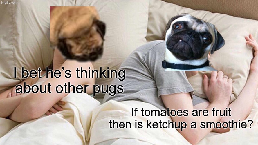 I bet he’s thinking about other pugs | I bet he’s thinking about other pugs; If tomatoes are fruit then is ketchup a smoothie? | image tagged in memes,i bet he's thinking about other women,pug,why are you reading the tags,are you gay | made w/ Imgflip meme maker