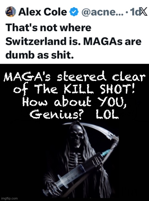 Picking at the meaningless nits - ignoring the gigantic boner | MAGA's steered clear
of The KILL SHOT!
How about YOU,
Genius?  LOL | image tagged in memes,conservatives critique actions against usa,lefty just insults,i speak in a language that lefty understand,leftysux | made w/ Imgflip meme maker
