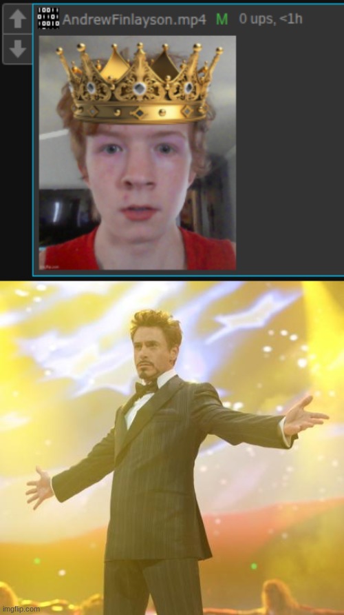 image tagged in robert downey jr iron man | made w/ Imgflip meme maker