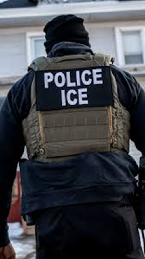 ice Blank Meme Template