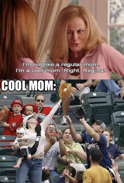 Cool Mom | COOL MOM: | image tagged in i'm not like a regular mom i'm a cool mom with text,mom,baseball,catch,crowd | made w/ Imgflip meme maker