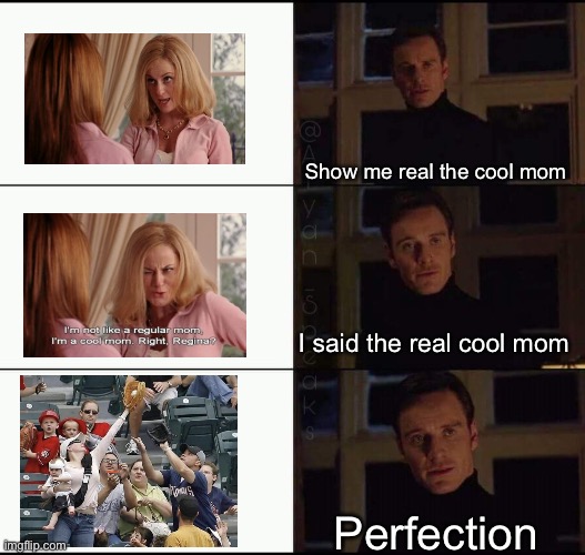 The Real Cool Mom | Show me real the cool mom; I said the real cool mom; Perfection | image tagged in show me the real,mom,real,cool,baseball,catch | made w/ Imgflip meme maker
