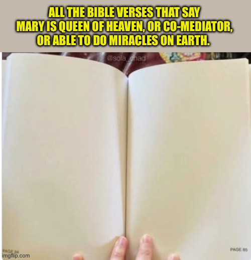 A humble Jewish girl who deserves honor, but not worship. | ALL THE BIBLE VERSES THAT SAY MARY IS QUEEN OF HEAVEN, OR CO-MEDIATOR, OR ABLE TO DO MIRACLES ON EARTH. | image tagged in mary,idols,catholic church,jesus saves | made w/ Imgflip meme maker
