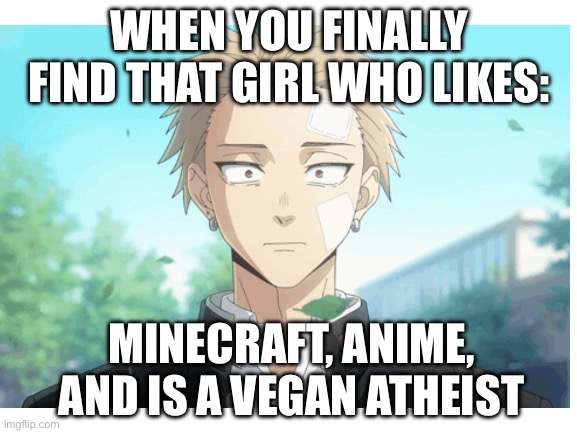 WHEN YOU FINALLY FIND THAT GIRL WHO LIKES:; MINECRAFT, ANIME, AND IS A VEGAN ATHEIST | made w/ Imgflip meme maker