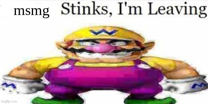 Twitter stinks im leaving blank | msmg | image tagged in twitter stinks im leaving blank | made w/ Imgflip meme maker