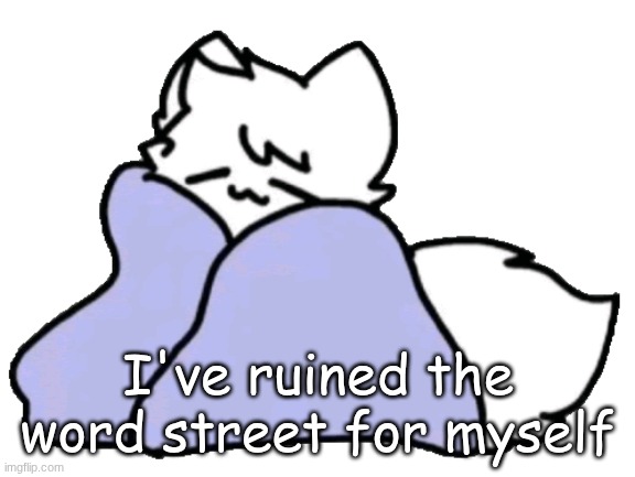bk blanket | I've ruined the word street for myself | image tagged in bk blanket | made w/ Imgflip meme maker