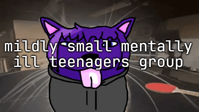 tge silly | mildly small mentally ill teenagers group | image tagged in tge silly | made w/ Imgflip meme maker