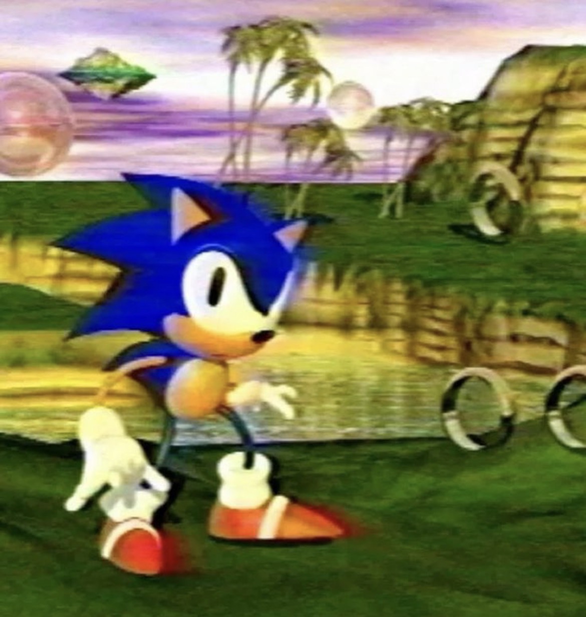 Old Sonic Confused Blank Meme Template