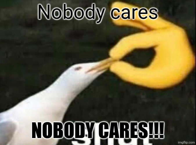 SHUT | Nobody cares NOBODY CARES!!! | image tagged in shut | made w/ Imgflip meme maker