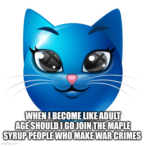 Like move to the country cause its literally like so close and I like maple syrup land | WHEN I BECOME LIKE ADULT AGE SHOULD I GO JOIN THE MAPLE SYRUP PEOPLE WHO MAKE WAR CRIMES | image tagged in blue cat emoji | made w/ Imgflip meme maker