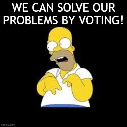 You would have to be an idiot if you think were voting our way out of this mess!!! | WE CAN SOLVE OUR PROBLEMS BY VOTING! | image tagged in look marge,voting,election fraud | made w/ Imgflip meme maker