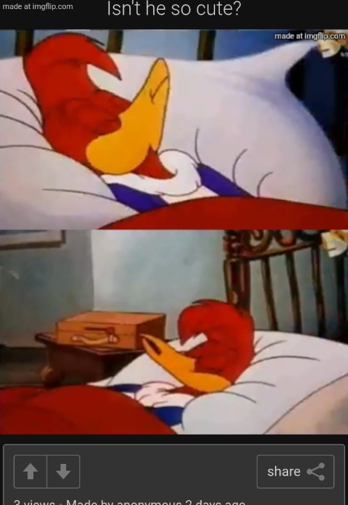 What? | made w/ Imgflip meme maker