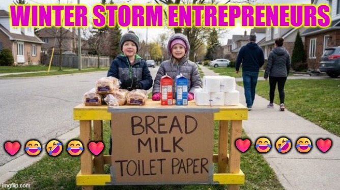 Winter Storm Entrepreneurs | WINTER STORM ENTREPRENEURS; ❤️😂🤣😂❤️; ❤️😂🤣😂❤️ | image tagged in winter,entrepreneur,bread,toilet paper,milk,grit | made w/ Imgflip meme maker