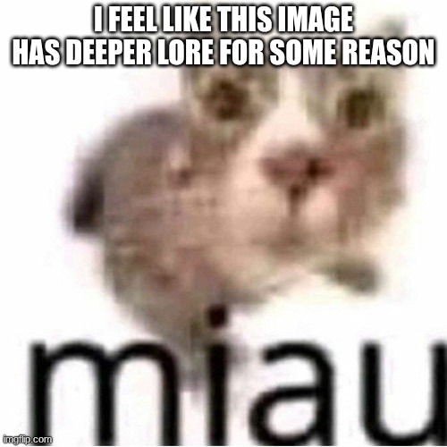 miau | I FEEL LIKE THIS IMAGE HAS DEEPER LORE FOR SOME REASON | image tagged in miau | made w/ Imgflip meme maker
