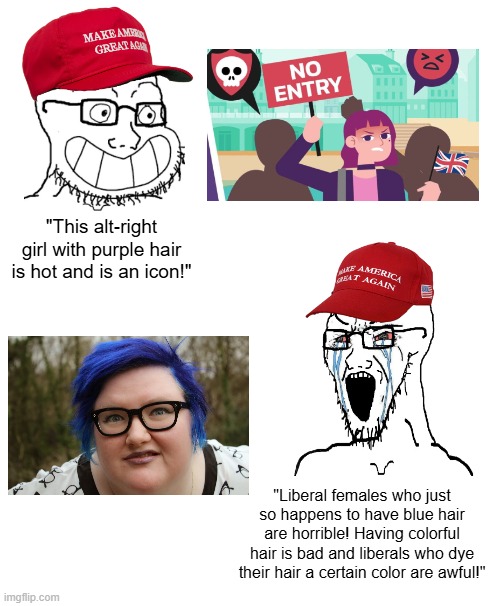 I wonder what the deciding factor is... | "This alt-right girl with purple hair is hot and is an icon!"; "Liberal females who just so happens to have blue hair are horrible! Having colorful hair is bad and liberals who dye their hair a certain color are awful!" | image tagged in maga wojaks cope,conservative logic,conservative hypocrisy,maga | made w/ Imgflip meme maker