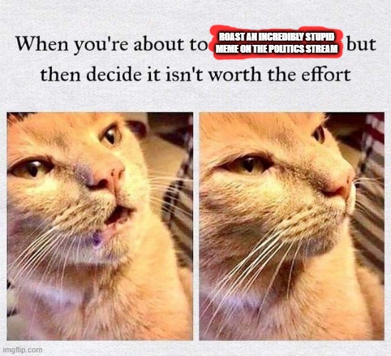 I'm only a lurker, and I'm content to say that way. However, there are times where it's incredibly hard to not say anything... | ROAST AN INCREDIBLY STUPID MEME ON THE POLITICS STREAM | image tagged in memes,funny,cats,the left can't meme | made w/ Imgflip meme maker