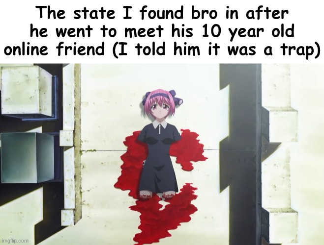 The state I found bro in after he went to meet his 10 year old online friend (I told him it was a trap) | image tagged in elfen lied,nana | made w/ Imgflip meme maker