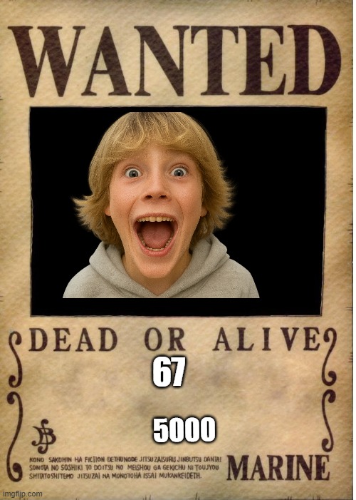 One piece wanted poster template | 67; 5000 | image tagged in one piece wanted poster template | made w/ Imgflip meme maker