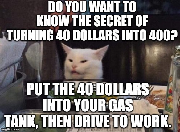 Smudge that darn cat | DO YOU WANT TO KNOW THE SECRET OF TURNING 40 DOLLARS INTO 400? PUT THE 40 DOLLARS INTO YOUR GAS TANK, THEN DRIVE TO WORK. | image tagged in smudge that darn cat | made w/ Imgflip meme maker
