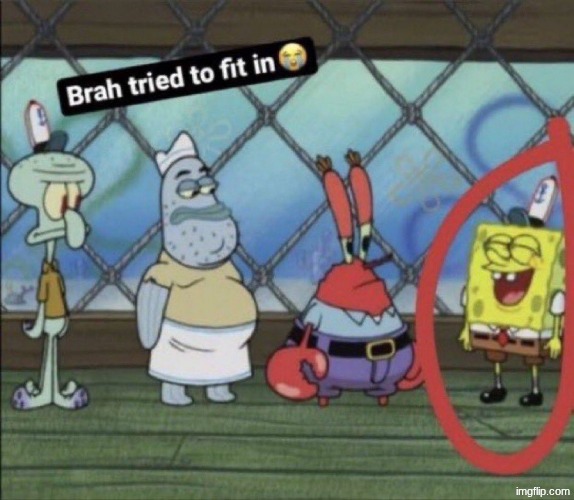 brah tried to fit in | image tagged in brah tried to fit in | made w/ Imgflip meme maker