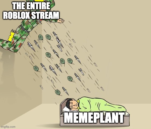 Soldier attacking sleeping child | THE ENTIRE ROBLOX STREAM; MEMEPLANT | image tagged in soldier attacking sleeping child | made w/ Imgflip meme maker