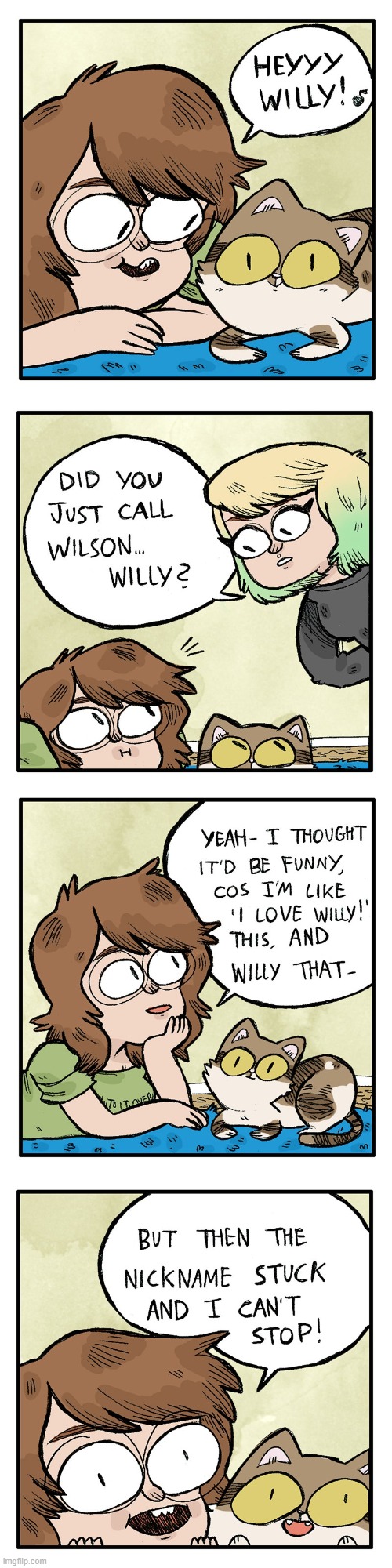 image tagged in cat,wilson,willy,name,nickname,stuck | made w/ Imgflip meme maker