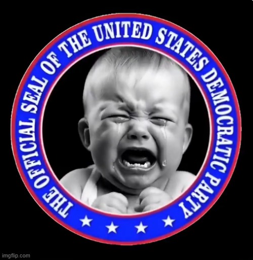 defending fraud waste and abuse while actively hindering the enforcement of laws | image tagged in debate,midterms,fraud,waste,abuse,doge | made w/ Imgflip meme maker