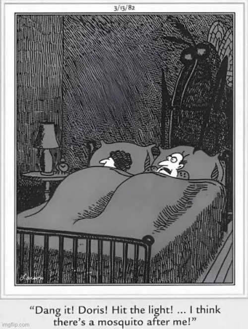 They must’ve lived close to a nuclear power plant… | image tagged in the far side,comics,mosquito,hit the light,monstrous | made w/ Imgflip meme maker