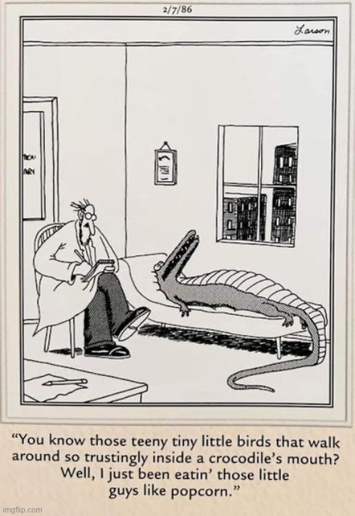 No wonder he has a lot of cavities… | image tagged in the far side,comics,therapist,crocodile,birds | made w/ Imgflip meme maker