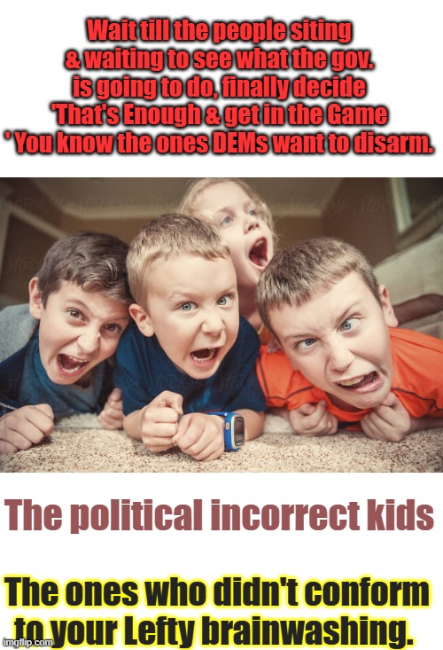 The law abiding good citizen. | Wait till the people siting & waiting to see what the gov. is going to do, finally decide 'That's Enough & get in the Game ' You know the ones DEMs want to disarm. The political incorrect kids; The ones who didn't conform to your Lefty brainwashing. | image tagged in brats | made w/ Imgflip meme maker