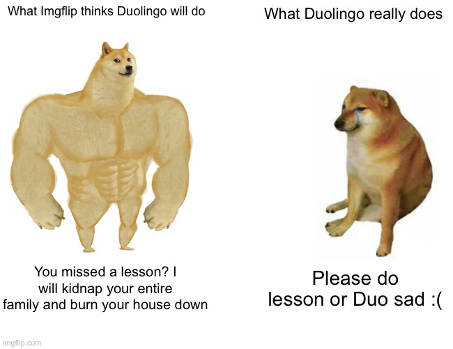 When I first missed a lesson I actually thought I was dead | What Imgflip thinks Duolingo will do; What Duolingo really does; You missed a lesson? I will kidnap your entire family and burn your house down; Please do lesson or Duo sad :( | image tagged in memes,buff doge vs cheems,duolingo,duolingo bird,funny,real | made w/ Imgflip meme maker