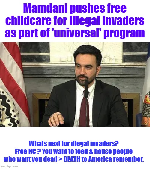 DEMs have the Scorpion & the Frog Syndrome. Mostly Peaceful | Mamdani pushes free childcare for Illegal invaders as part of 'universal' program; Whats next for illegal invaders? Free HC ? You want to feed & house people who want you dead > DEATH to America remember. | made w/ Imgflip meme maker