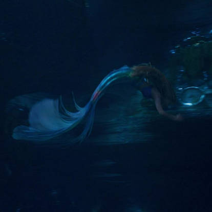 ugly bitch Blank Meme Template