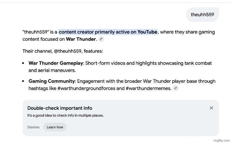 googled my username, google mostly detects my tiktok and yt channel | made w/ Imgflip meme maker
