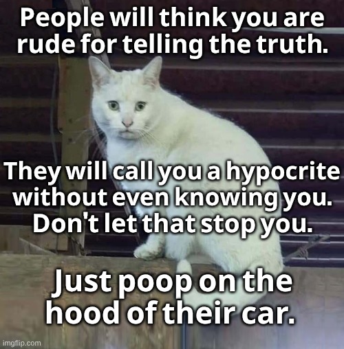 I Have To Poop Cat | 𝐏𝐞𝐨𝐩𝐥𝐞 𝐰𝐢𝐥𝐥 𝐭𝐡𝐢𝐧𝐤 𝐲𝐨𝐮 𝐚𝐫𝐞 𝐫𝐮𝐝𝐞 𝐟𝐨𝐫 𝐭𝐞𝐥𝐥𝐢𝐧𝐠 𝐭𝐡𝐞 𝐭𝐫𝐮𝐭𝐡. 𝐓𝐡𝐞𝐲 𝐰𝐢𝐥𝐥 𝐜𝐚𝐥𝐥 𝐲𝐨𝐮 𝐚 𝐡𝐲𝐩𝐨𝐜𝐫𝐢𝐭𝐞 𝐰𝐢𝐭𝐡𝐨𝐮𝐭 𝐞𝐯𝐞𝐧 𝐤𝐧𝐨𝐰𝐢𝐧𝐠 𝐲𝐨𝐮. 𝐃𝐨𝐧'𝐭 𝐥𝐞𝐭 𝐭𝐡𝐚𝐭 𝐬𝐭𝐨𝐩 𝐲𝐨𝐮. 𝐉𝐮𝐬𝐭 𝐩𝐨𝐨𝐩 𝐨𝐧 𝐭𝐡𝐞 𝐡𝐨𝐨𝐝 𝐨𝐟 𝐭𝐡𝐞𝐢𝐫 𝐜𝐚𝐫. | image tagged in i have to poop cat,truth,poop,pooping | made w/ Imgflip meme maker