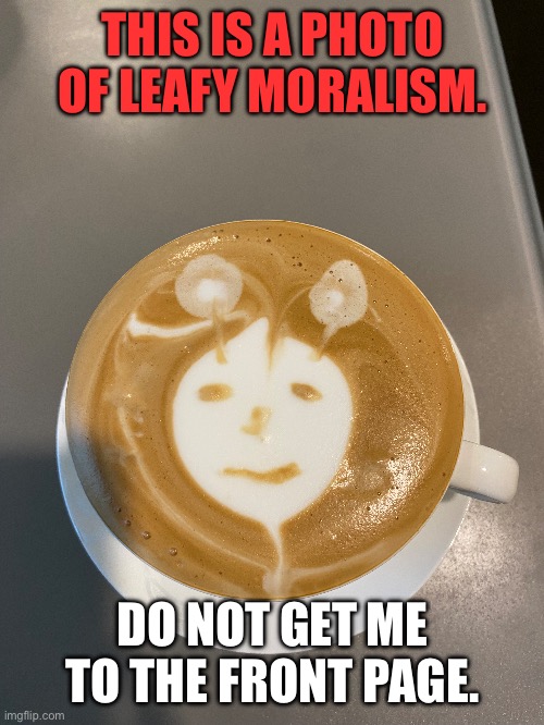 You won’t understand this meme. It is from 2027. | THIS IS A PHOTO OF LEAFY MORALISM. DO NOT GET ME TO THE FRONT PAGE. | image tagged in leafy moralism | made w/ Imgflip meme maker