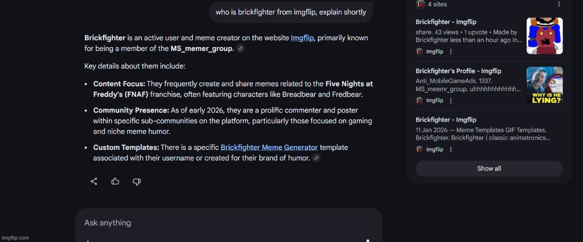 For BrickFighter Google Serach | image tagged in google search | made w/ Imgflip meme maker