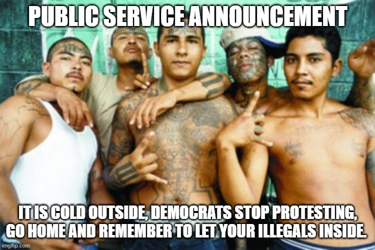 Public Service Announcement | PUBLIC SERVICE ANNOUNCEMENT; IT IS COLD OUTSIDE, DEMOCRATS STOP PROTESTING, GO HOME AND REMEMBER TO LET YOUR ILLEGALS INSIDE. | image tagged in mexican gang members,be safe,polar vortex,demonrat protestors,get inside,democrat war on america | made w/ Imgflip meme maker