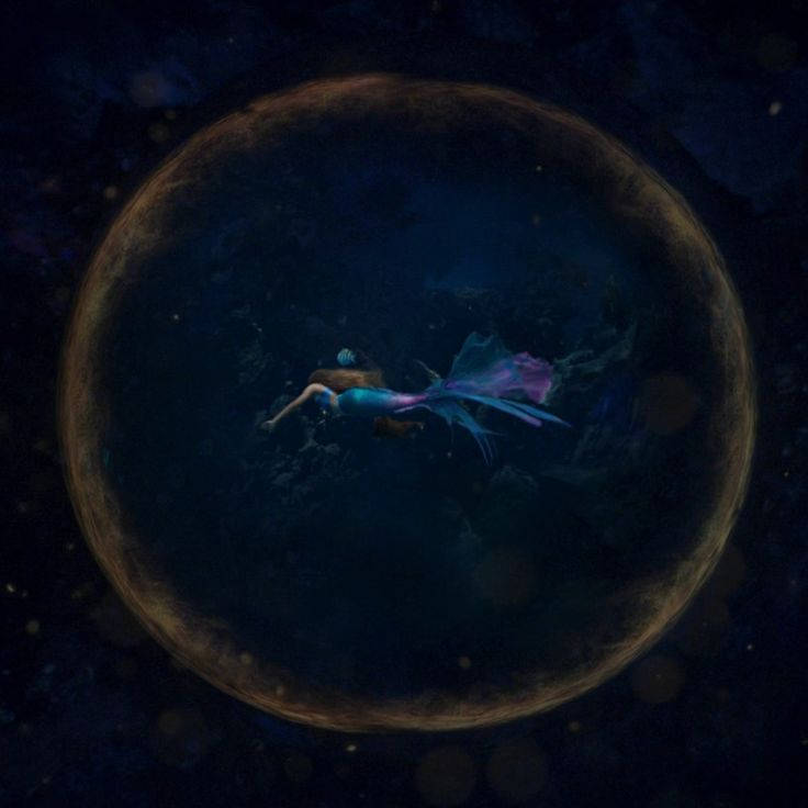 halle swimming Blank Meme Template