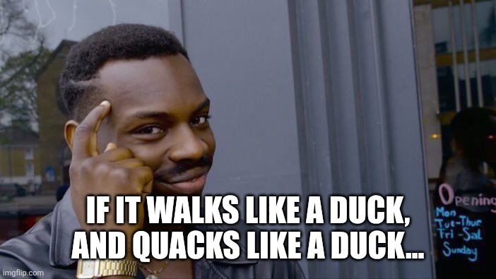 Roll Safe Think About It Meme | IF IT WALKS LIKE A DUCK, AND QUACKS LIKE A DUCK... | image tagged in memes,roll safe think about it | made w/ Imgflip meme maker