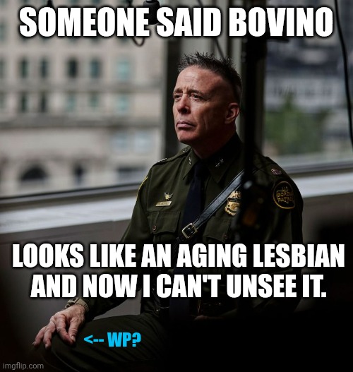 Cosplayer Bovino, the Gravy Seal | SOMEONE SAID BOVINO; LOOKS LIKE AN AGING LESBIAN
AND NOW I CAN'T UNSEE IT. <-- WP? | image tagged in greg bovino,cosplay fail,lesbian problems,dick van dyke,maga | made w/ Imgflip meme maker